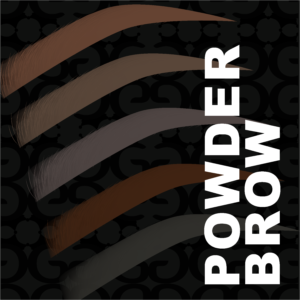 Powder Brows PRO Training