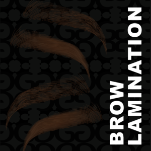 Brow Laminate Training